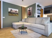 App.16 - Apartments Petlin - Filip