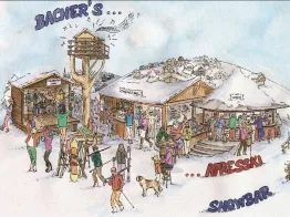 Snowbar