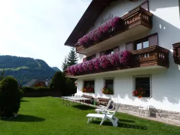 B&B Arnika