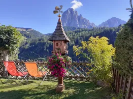 B&B Arnika