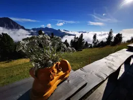 Stuflesser Patrick - Südtiroler Wanderleiter/Wanderführer - International Mountain Leader