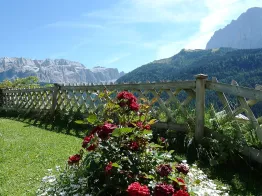 Apartments Neuhaus - Agriturismo