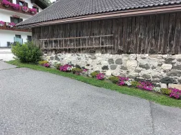 Apartments Cesa Zinch