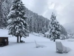Apartments Chalet Romy