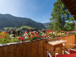 AppartChalet La Rondula