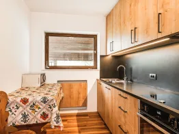 Apartments Chalet Scherlin
