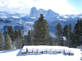 B&B Chalet Resciesa