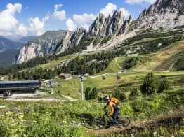 Advanced MTB Course in the Trail Arena