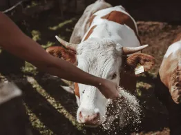 Hotel Mea Via - the slow farm hotel
