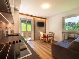 Apartments Seida