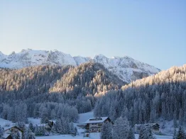 Apartments Pavël