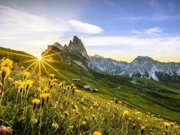 Seceda – enjoy the beauty and taste on the highest alp