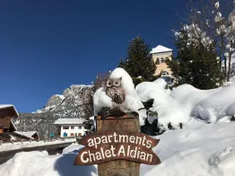 Apartments Chalet Aldian