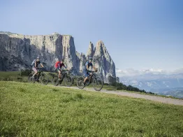 MTB School & Rental Ortisei
