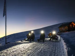 Night Sledging with Dinner in a Mountain Hut