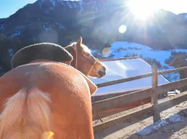 Horse Riding Ortisei