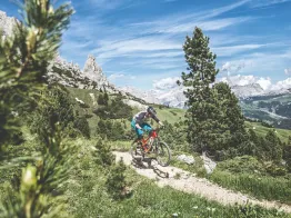 Bike Rental 2000