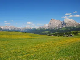 Seiser Alm - the biggest alp in Europe