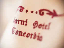 Garni-Hotel Concordia – Dolomites Home