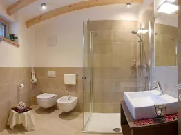 Apartments Chalet Paian