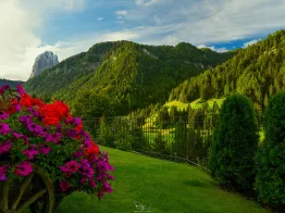 Apartments Aurona