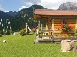 Garni Vergissmeinnicht