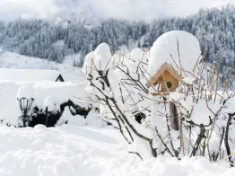 Garni - B&B - Hotel Geier