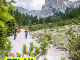 Bike Rental 2000