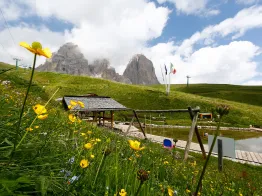 Salei Hütte