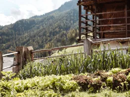 Hotel Mea Via - the slow farm hotel