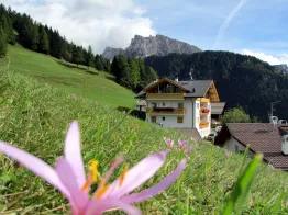 Apartments La Stua