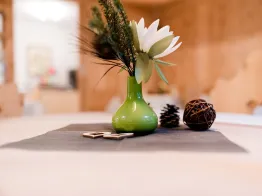 Apartments Villa David Dolomites