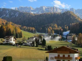Apartments Pavël