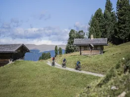 MTB School & Rental Ortisei