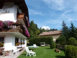 B&B Arnika