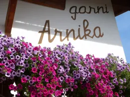 B&B Arnika