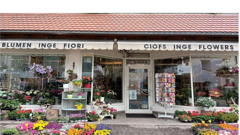 Blumen Inge