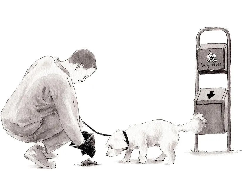 Dog Toilet Monte Pana P2