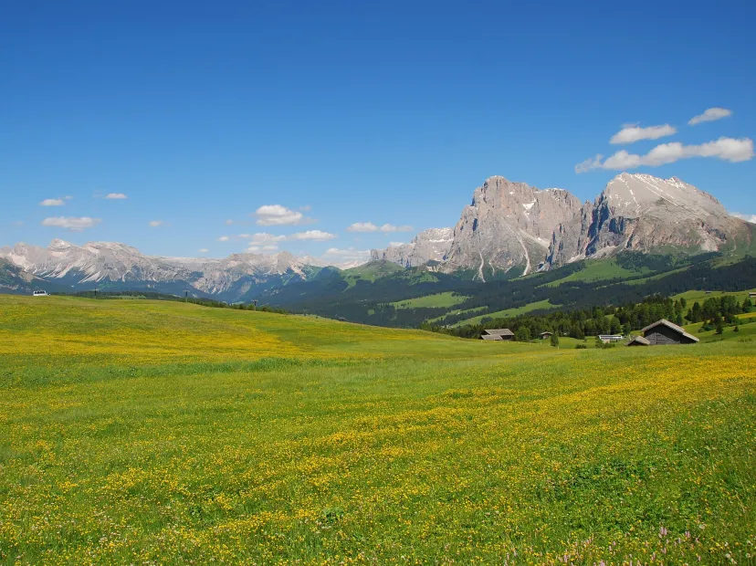 Seiser Alm - the biggest alp in Europe