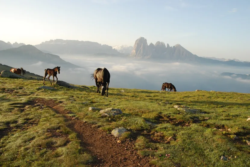 Raschötz: Teil des Dolomiten – UNESCO Welterbe