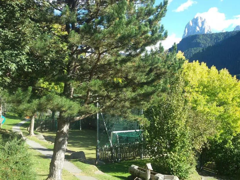 Playground  Scurcià