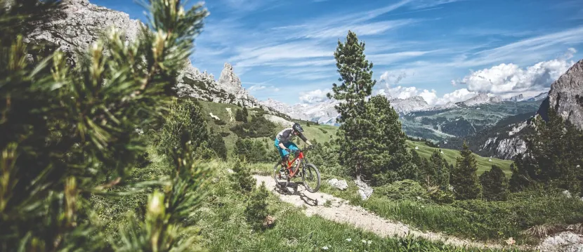 Bike Rental 2000
