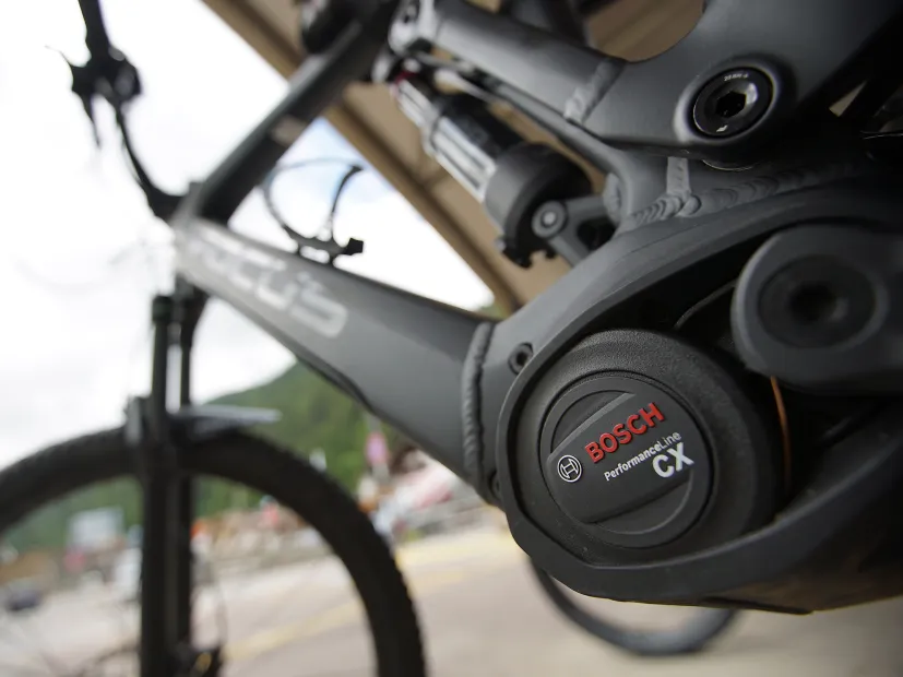 Bike Rental 2000