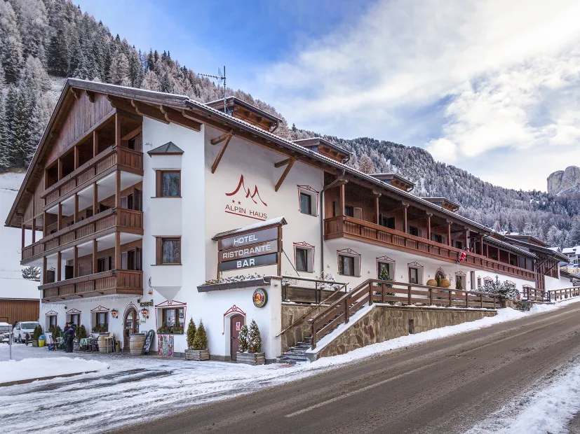 Alpin Haus - Plan 45