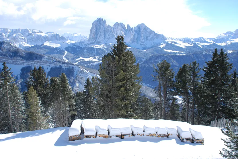 Chalet Resciesa