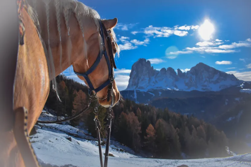 Horse Riding Ortisei