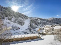 Two-Bedroom Apartment with balcony at the Saslong Cableway - Apartments Pivan